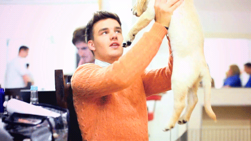 Liam Payne GIFs Liam Payne GIFs