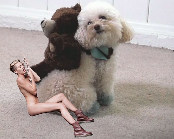 Miley Cyrus, Wrecking Ball Meme, We Can Miley Cyrus, Wrecking Ball Meme, We Can