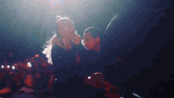 Beyonce GIF Beyonce GIF