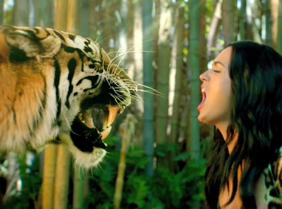 Katy Perry, Roar Video