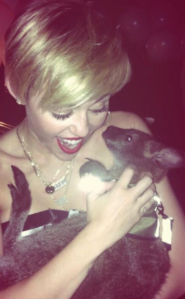 Miley Cyrus Miley Cyrus