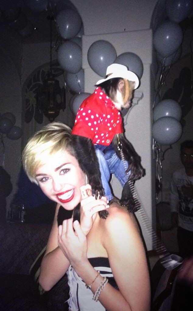 Miley Cyrus Miley Cyrus