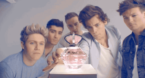 One Direction, Our Moment GIFs One Direction, Our Moment GIFs