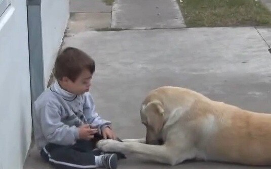 Hernan, video adorable de Youtube Hernan, video adorable de Youtube