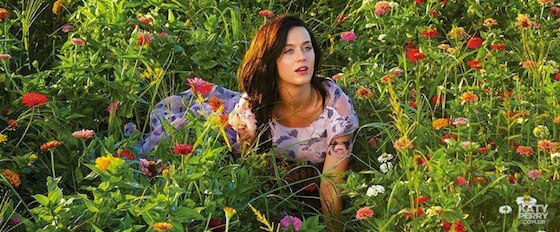 Katy Perry, Prism Katy Perry, Prism