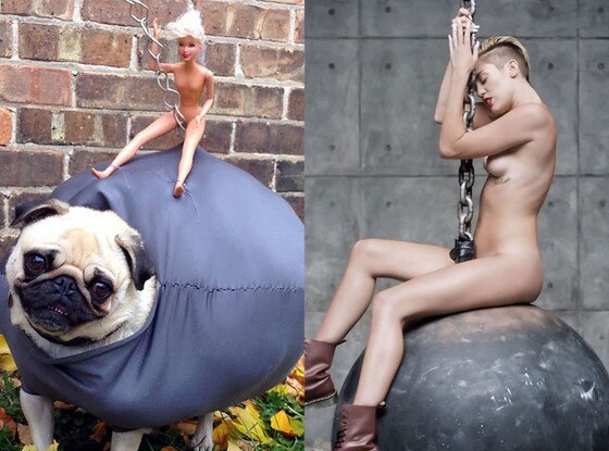 Pug Costume, Miley Cyrus, Wrecking Ball Pug Costume, Miley Cyrus, Wrecking Ball