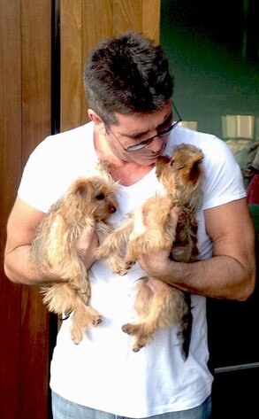 Simon Cowell Simon Cowell