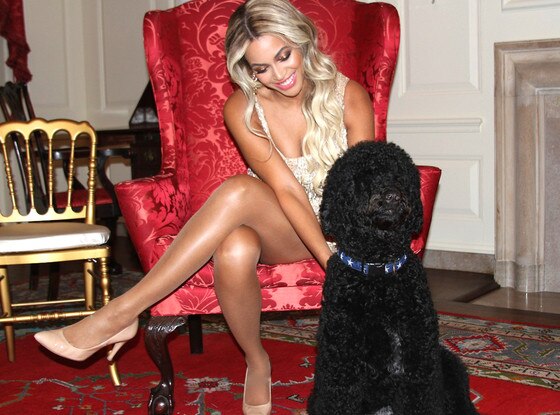 Beyonce Beyonce