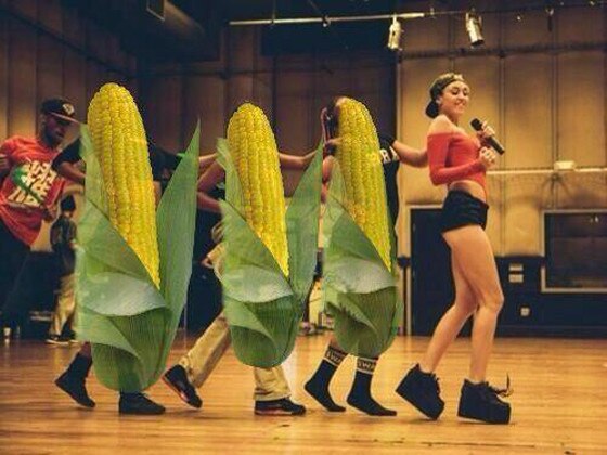 Miley Cyrus, Twit Pic Miley Cyrus, Twit Pic