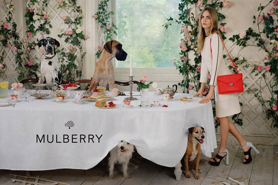 Cara Delevingne, Mulberry 2014 Campaign Cara Delevingne, Mulberry 2014 Campaign