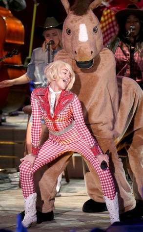Miley Cyrus, Twerking, Horse Miley Cyrus, Twerking, Horse