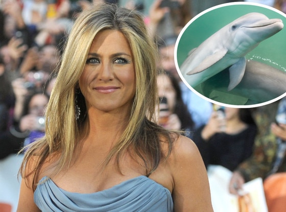 Jennifer Aniston, Dolphin Jennifer Aniston, Dolphin