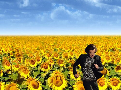 Harry Styles meme Brit Awards 2014 Harry Styles meme Brit Awards 2014