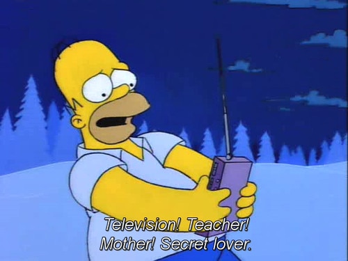25 memorables frases de Los Simpsons 25 memorables frases de Los Simpsons