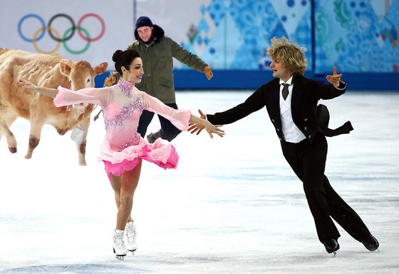 Meryl Davis, Charlie White, Olympics, Sochi, Robert Pattinson Meryl Davis, Charlie White, Olympics, Sochi, Robert Pattinson