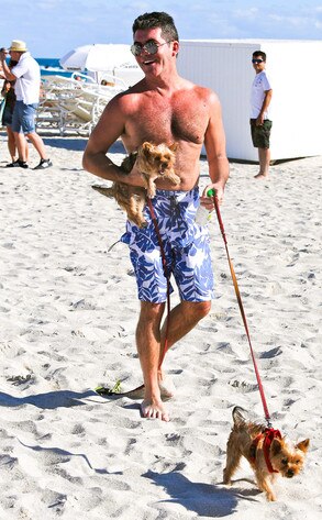 Simon Cowell Simon Cowell