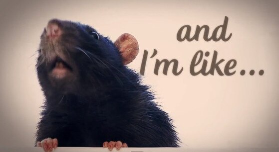 Shakira, Empire, lyric video Shakira, Empire, lyric video