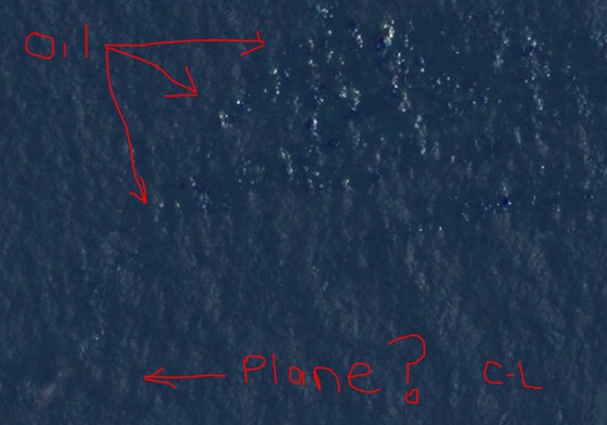 Courtney Love, Malaysian Plane Courtney Love, Malaysian Plane