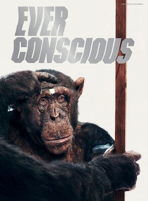 H&M, H&M Conscious Exclusive H&M, H&M Conscious Exclusive