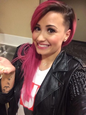 Demi Lovato, Twitter Demi Lovato, Twitter