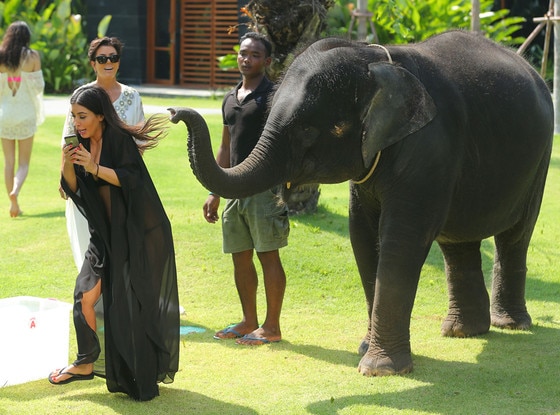 Kim Kardashian, Elephant Kim Kardashian, Elephant