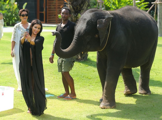 Kim Kardashian, Elephant Kim Kardashian, Elephant