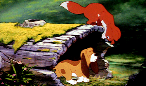 Disney, Disney GIFs Disney, Disney GIFs