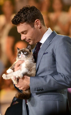 Ryan Seacrest, Grumpy Cat Ryan Seacrest, Grumpy Cat