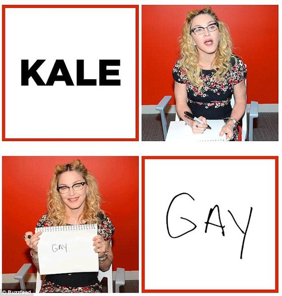 Madonna Buzfeed Gay Madonna Buzfeed Gay