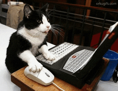 Computador GIFs Computador GIFs