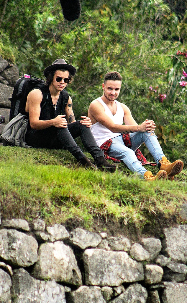 Harry Styles, Liam Payne Harry Styles, Liam Payne