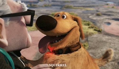 Up, Disney, Pixar Up, Disney, Pixar