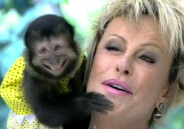 Ana Maria Braga apanha de macaco ao vivo no Mais Você Ana Maria Braga apanha de macaco ao vivo no Mais Você