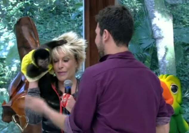Ana Maria Braga apanha de macaco ao vivo no Mais Você Ana Maria Braga apanha de macaco ao vivo no Mais Você