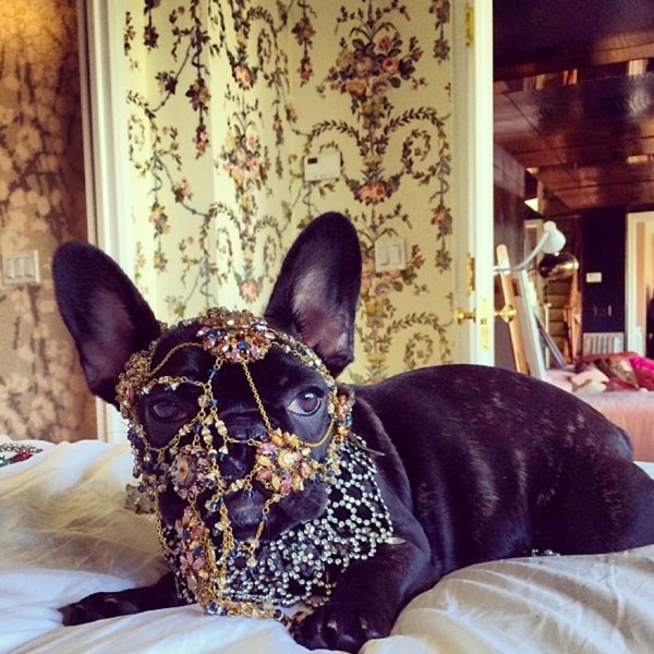 rs_600x600-140618154909-600.gaga.cm.6181