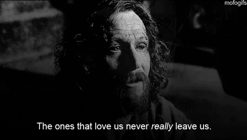Harry Potter gif Harry Potter gif