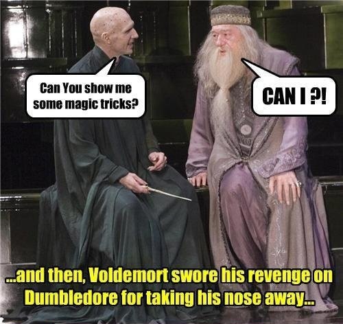 Jokes Only Harry Potter Fans Will Understand E News