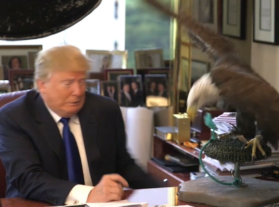 Donald Trump Nearly Attacked by Bald Eagle, and There's Video | E! News