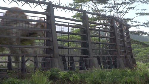 Jurassic Park GIF Jurassic Park GIF