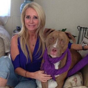 Kim Richards, Kingsley