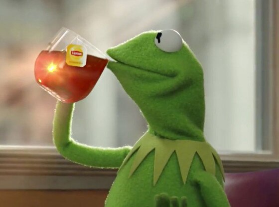 Good Morning America Just Called Kermit The Frog Tea Lizard And Twitter Is Losing It E News 7604