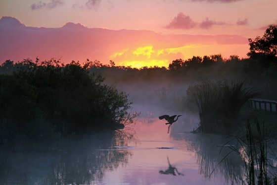 Los mejores lugares de Florida Los mejores lugares de Florida