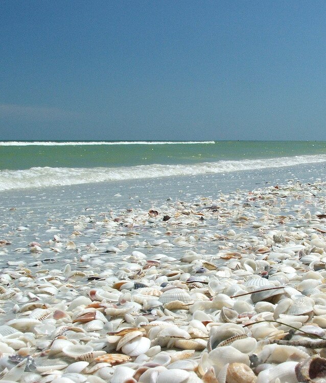 Los mejores lugares de Florida Los mejores lugares de Florida