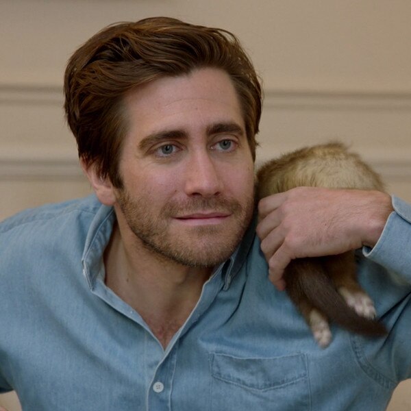 jake and kate have been dating for two years “there are those for and those against, whether it be jake or fitz,” foley said “ the relationship with olivia, it has been a very powerful. jake and kate have been dating for two years “there are those for and those against, whether it be jake or fitz,” foley said “ the relationship with olivia, it has been a very powerful.