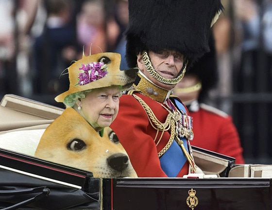 Rainha Elizabeth II memes Rainha Elizabeth II memes