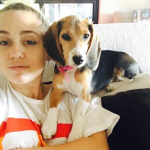 Miley Cyrus, Instagram