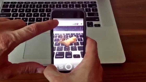 ZooKazam ZooKazam