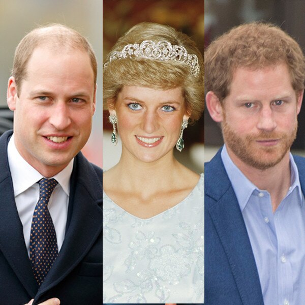 Prince William, Duke of Cambridge , Princess Diana , Prince Harry