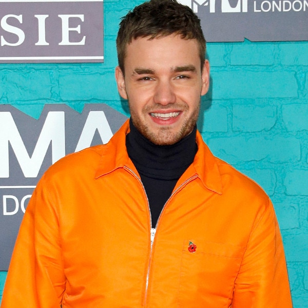 Liam Payne Shares Plans to Celebrate First Christmas With Son Bear