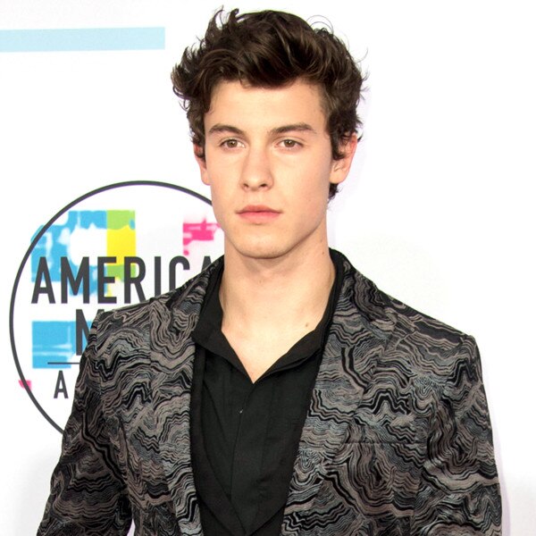 Shawn Mendes Reveals the One Attribute He's Looking for in a Date